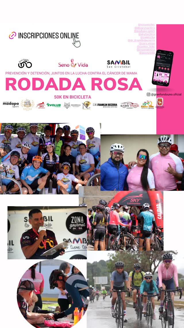 rosa